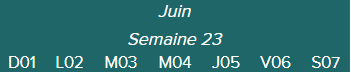 Juin-Semaine 23-D01 · L02 · M03 · M04 · J05 · V06 · S07